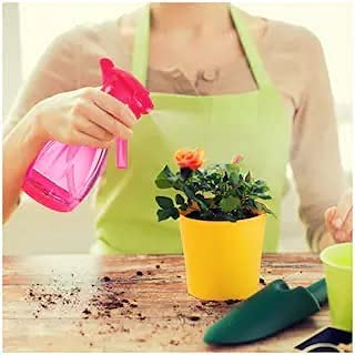 STOIC Spray Bottles Transprent Clean Squirt Bottle For Multi-Uses
