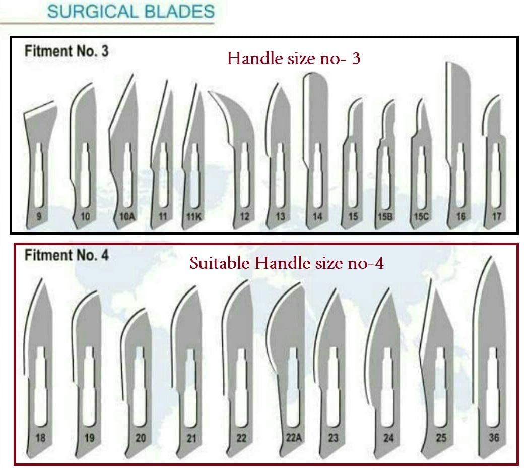 EUZA CARBON STEEL SURGICAL BLADE SCALPEL BLADE NO.11- (10 PCS) WITH STAINLESS STEEL BP HANDLE NO.3 -(1PCS) | B0BN224PFM ( BLADE11_3 )