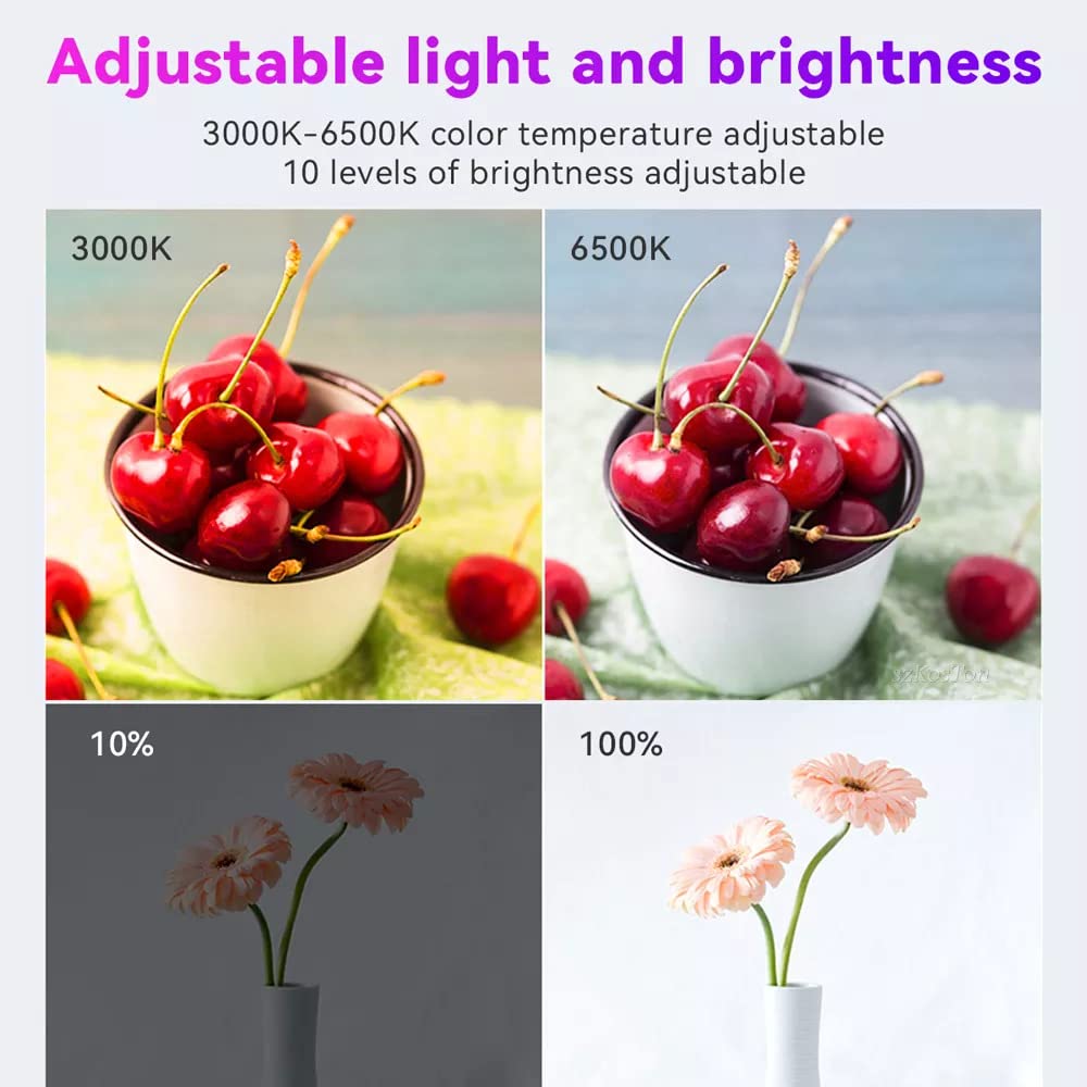 LED VIDEO SOFT LIGHT PANEL, FOR STUDIO PHOTOGRAPHY 16'' PACK OF 2