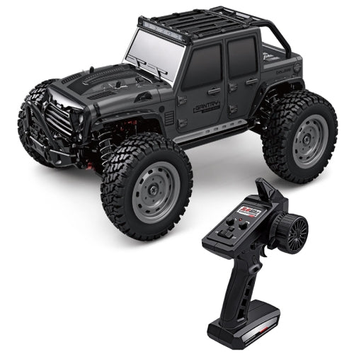 TOP RACING SERIES GANTRY 1/16 SCALE CROSS COUNTRY VEHICLE 4X4 FOUR -WHEEL DRIVE. 2.4G FULL SCALE FOUR WHEEL SCY16103- GREY