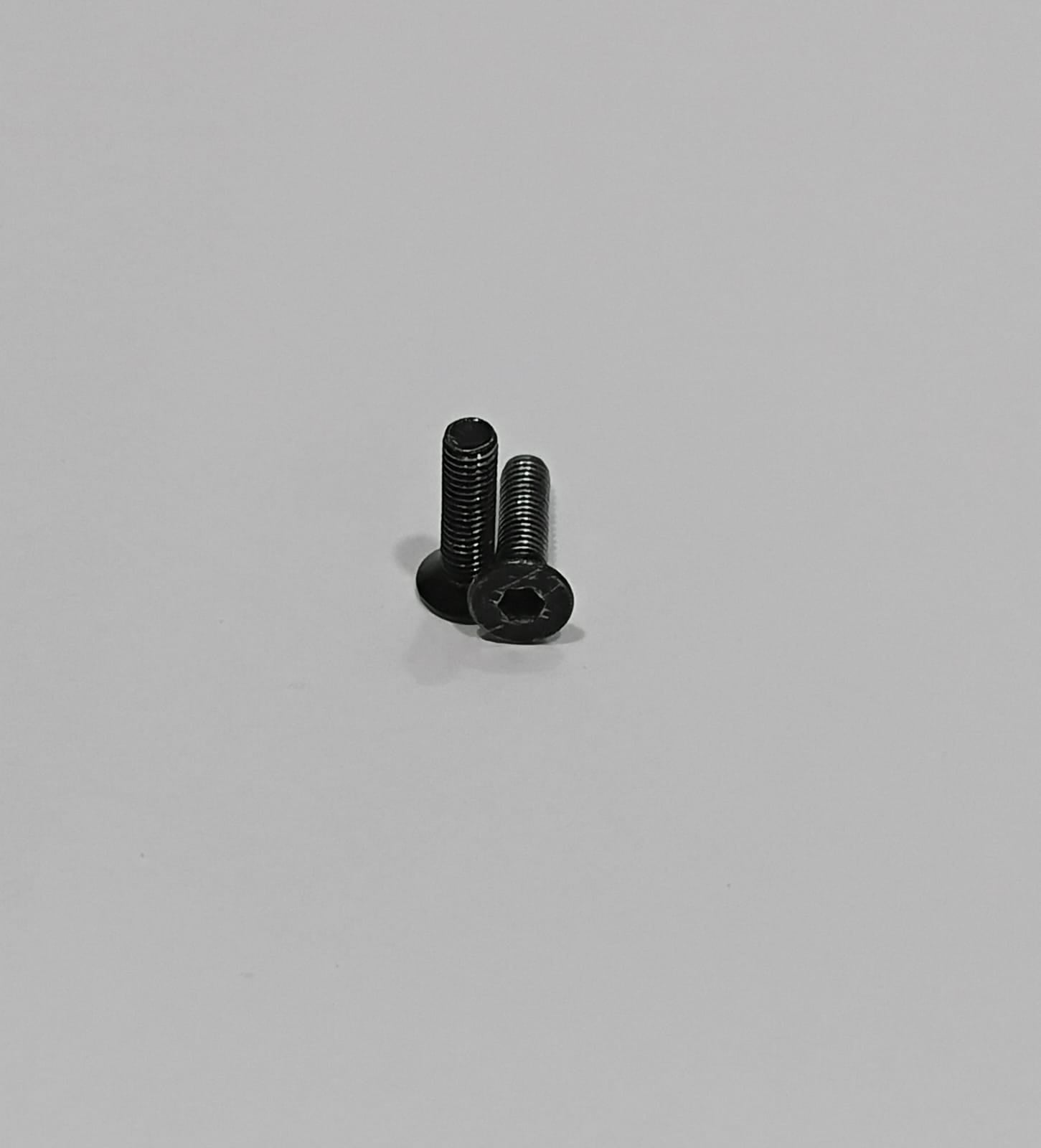 MJX HYPER GO H12Y+ (PLUS) FLAT HEX BOLT 3MM X 12MM (PACK OF 2)