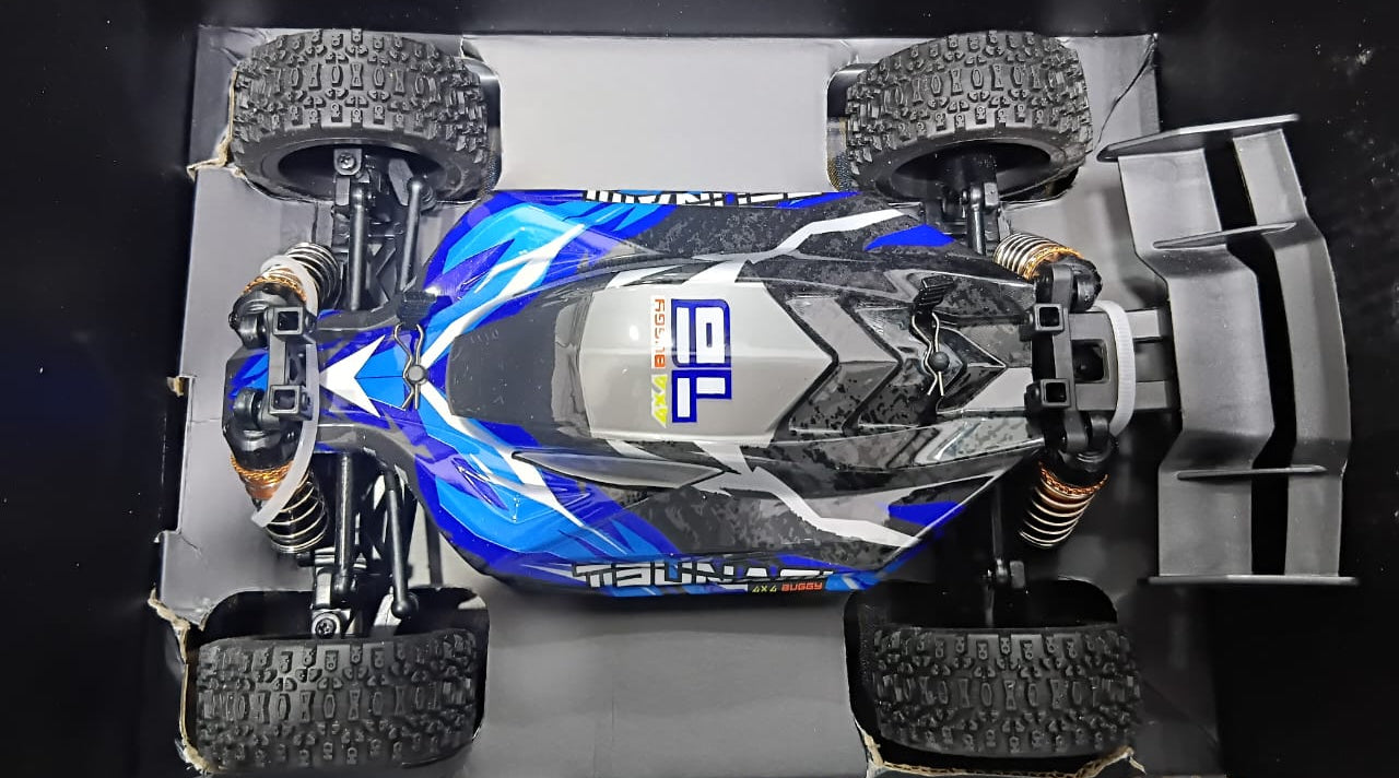 STORM HOSPEED HS18-62 1/18 IPX4 WATERPROOF 4WD 2.4G MONSTER TRUCK BLUE