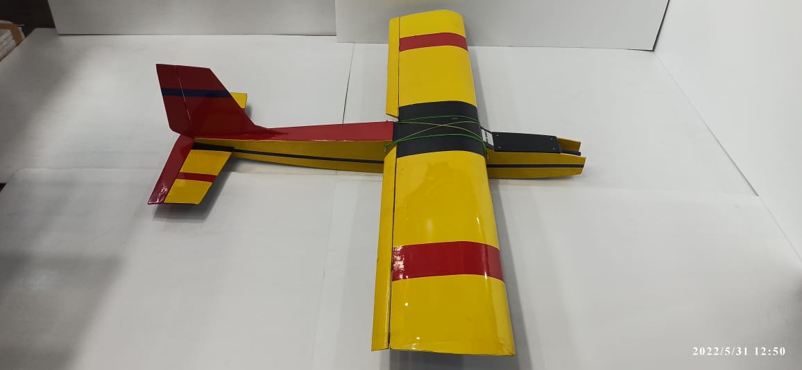 MISS WORLD 2 RC PLANE