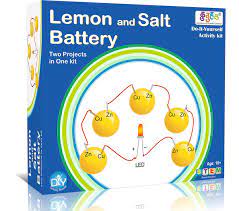 Lemon And Salt Battery