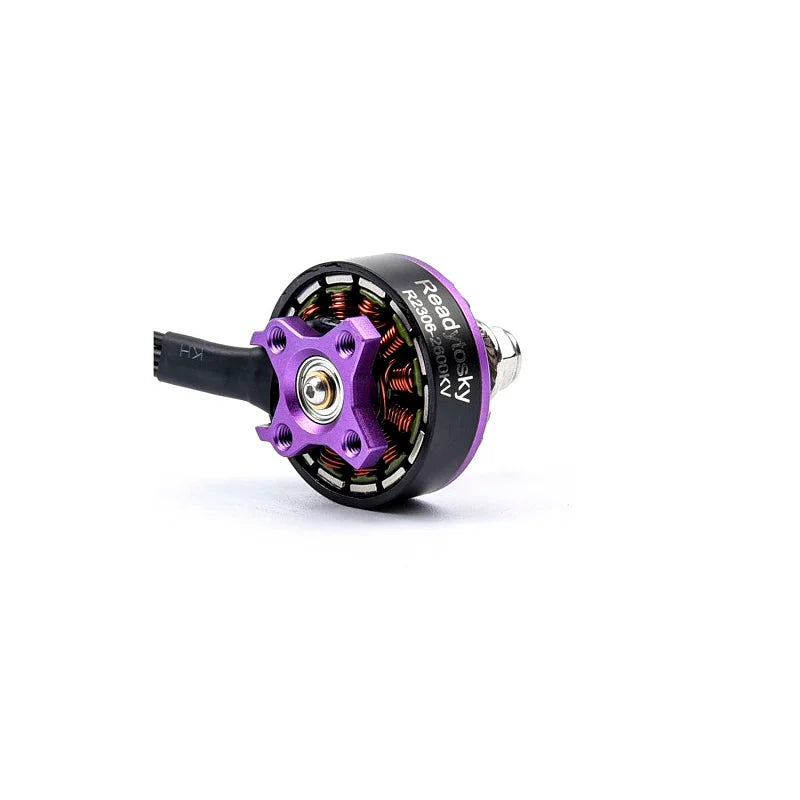 R2306 2600KV CCW Brushless Motor